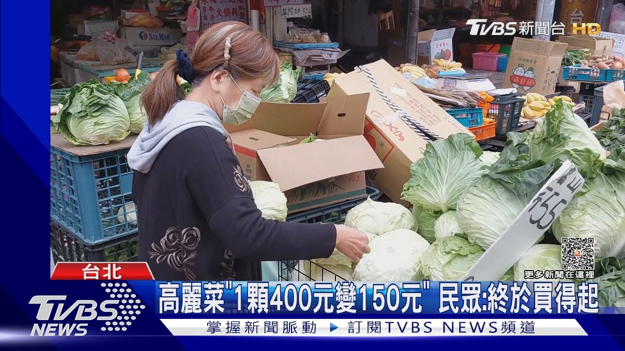 種植量「紅燈」逼近上限! 高麗菜12月價格恐崩盤