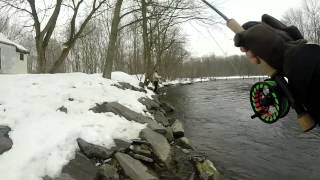 preview picture of video 'March Steelhead NY'