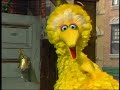 2984 Big Bird S Doorbell