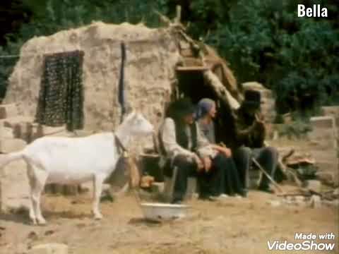 Átok és szerelem : Kővári Judit  - Tarka kendőt kötöttem a fejemre...