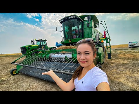 Kate's Ag -Montana Winter Wheat Harvest 2021