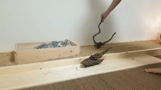部屋に砂敷いてみた