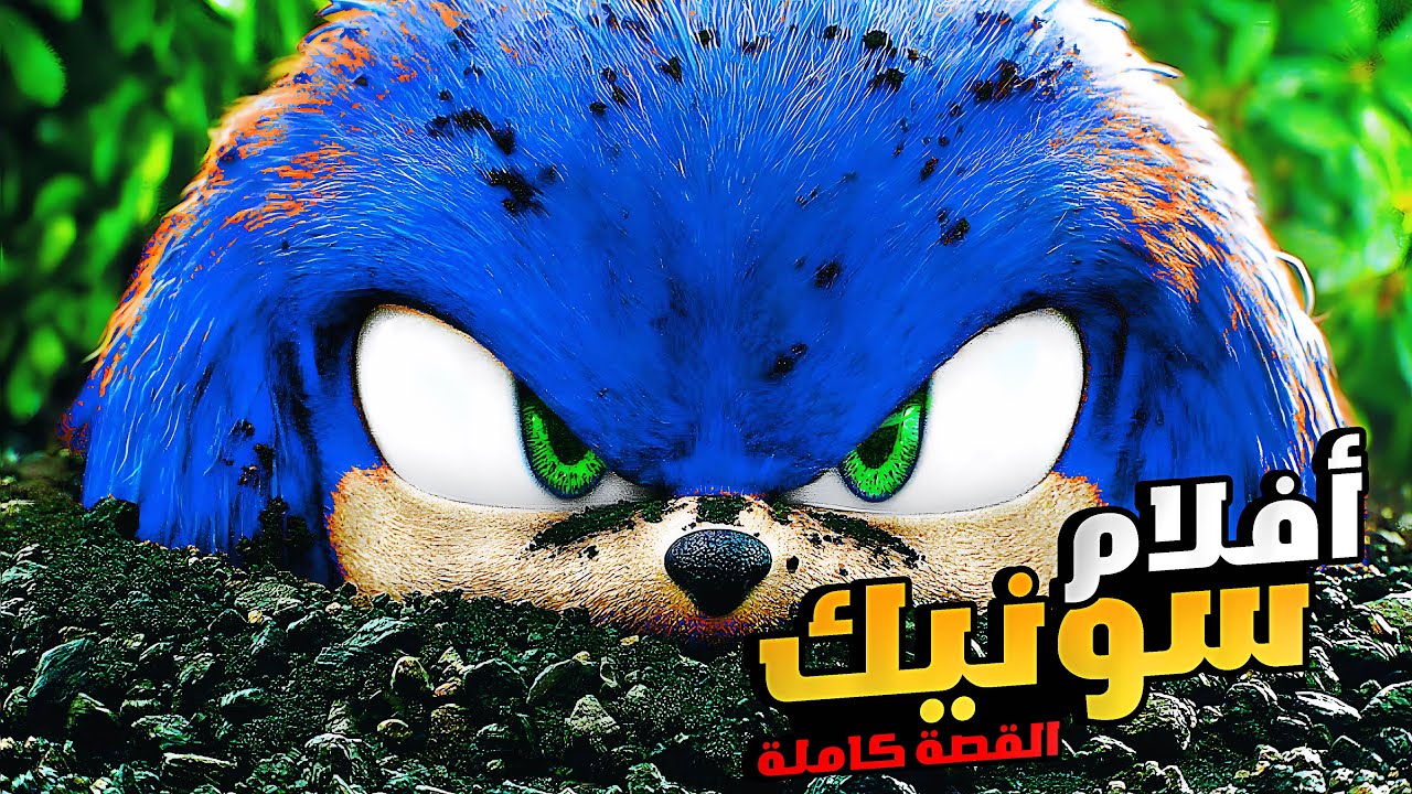 ملخص فيلم سونيك كامل الجزء الأول والثاني 1️⃣2️⃣الملخص كامل | افلام ديزني | ملخصات افلام كرتون سونيك