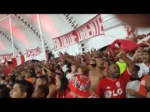 "América vs Equidad - HAY QUE PONER MÁS HUEVOS" Barra: Baron Rojo Sur • Club: América de Cáli