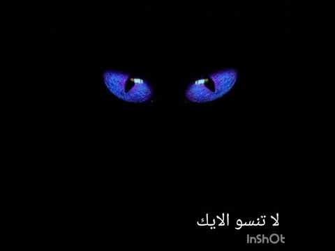 ود المزاد اغنيه بصوت طفل