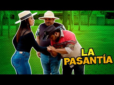 Internship with horses JR INN ft Karly Fornos