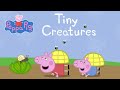 Tiny Creatures Read Aloud Stories