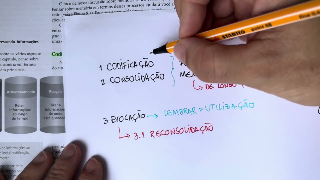 MEMÓRIA: Codificação e consolidação da aprendizagem
