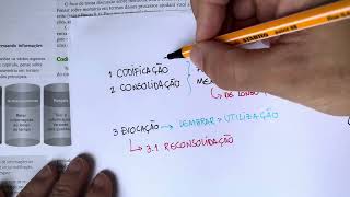MEMÓRIA: Codificação e consolidação da aprendizagem