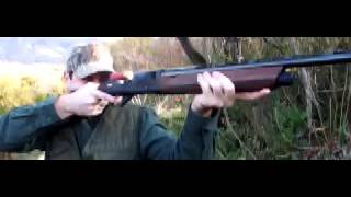 slow motion inertia driven