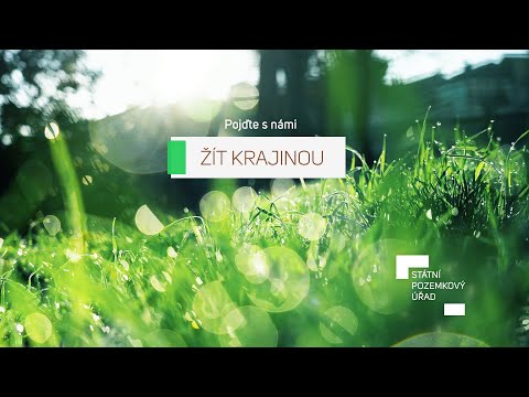 Náhled pro video reference