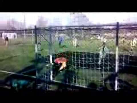 Gabriele gol  afforese