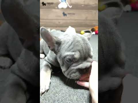 Video 2