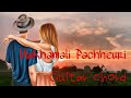 Makhamali Pachheuri Le|Roshan Limbu Cover|Guitar Chord