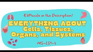 Cells, Tissues, Organs, and Organ Systems: Levels of structure in an Organism: NGSS MS-LS1-3