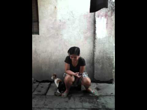 download lagu mp3 mp4 Ingming, download lagu Ingming gratis, unduh video klip Ingming