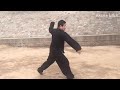 5 Elements Tong Bei Fierce Tiger Crossing The Mountain By Master Zheng Rongqing