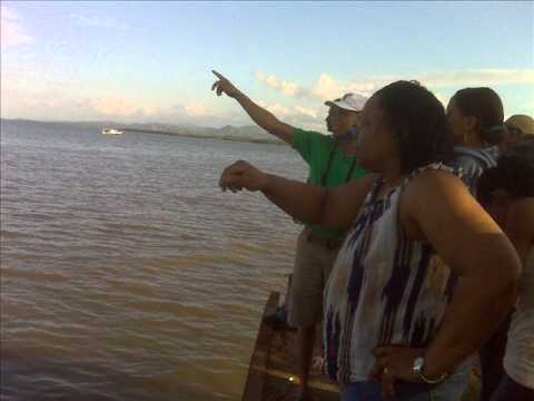 Una primavera para el mundo. Fernando Casado.