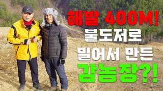 길 내는데 1억, 4년간 만들고 있는 농장ㅣ감농장 구축 컨설팅 ㅣ [멘토가 간다ep1]