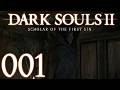 Dark Souls 2 [001] - Der Fluch auf der Königin