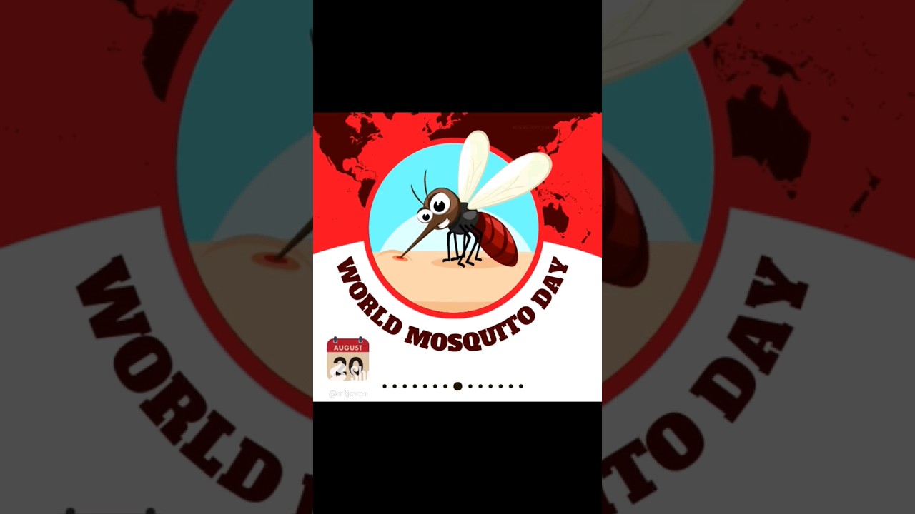 Happy World Mosquito Day! 🦟  🦟 🦟 #worldmosquitoday