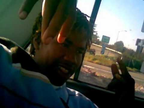 rip Active ant p-team