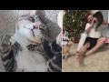 Man Defends Cat That Attacked Him While Opening Christmas Presents