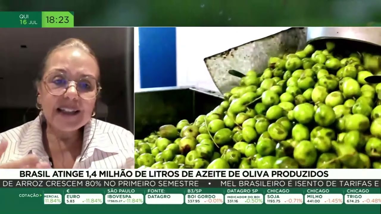 Brasil atinge 1,4 milhão de litros de azeite de oliva produzidos