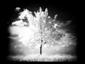 Babyfin - Jonathan Keevil (Bellflower OST) 