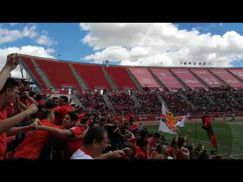 RCD Mallorca - UD Almeria 1:0 Salva Sevilla Free Kick Goal