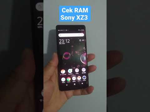 Sony XZ3 Developers Option
