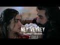 Ney veyrey|Slowed + Reverb| Animal|Sandeep Reddy vanga|Y LOFI