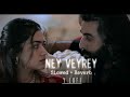 Ney Veyrey Slowed Reverb Animal Sandeep Reddy Vanga Y LOFI