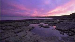 Thomas Newman - True Art Of Music