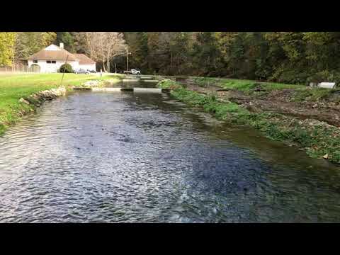 The Virginia Trout Company near Monterey Virginia - pretty cool to see -  by Dan Gritsko
