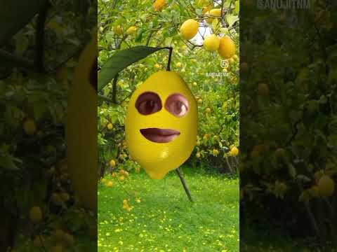 LOL 😆😆😆😆😆