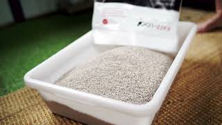 Katz-Loo - Australia’s Best Value Cat Litter