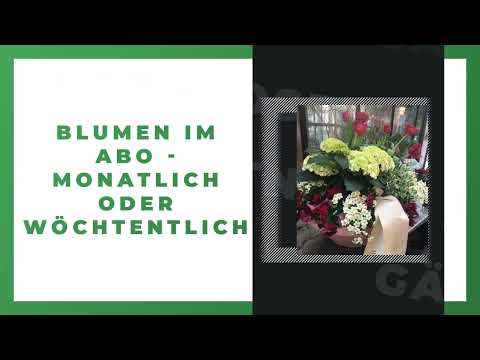 Gärtnerei Moser YouTube-Vdeominiatur 7