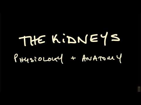 Medicine Revision Sessions ASMR | Renal Physiology - Part 1