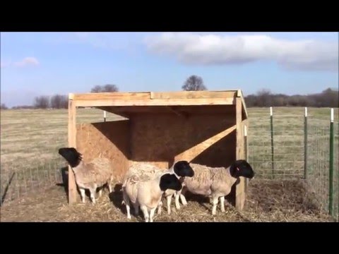 , title : 'How to build a sheep shelter'