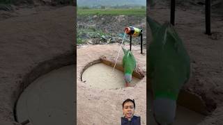 Download lagu Bird trap #shorts mp3