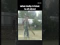 Gully Cricket Is ️ Shorts Ytshorts Cricket