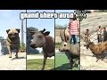 GTA 5 - Play as an Animal (Dog, Cat, Cow, Boar ...