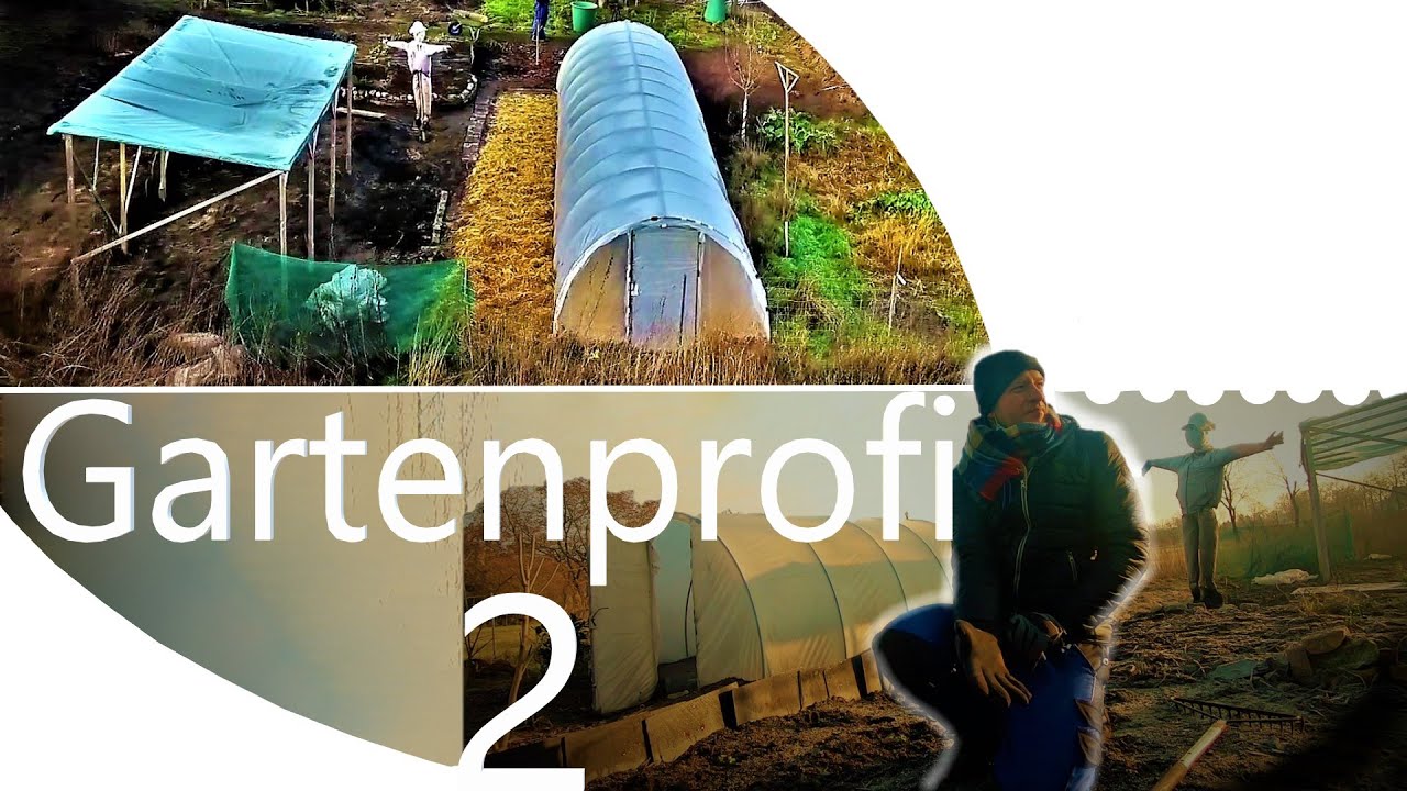 Gartenprofi Teil 2 | Jungpflanzen und Süßkartoffeln