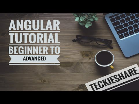 Angular Tutorial Customer Relationship Management Project Overview
