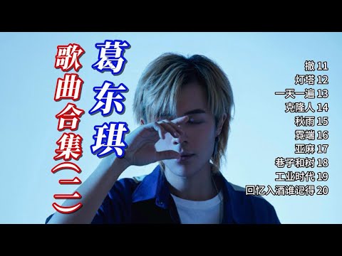就是他！打破惯有的曲风模式 | 【葛东琪 歌曲合集(二)】