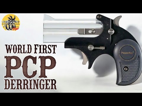 ПЕРВЫЙ В МИРЕ ПИСТОЛЕТ PCP DERRINGER | Mercury Rise PepperRay