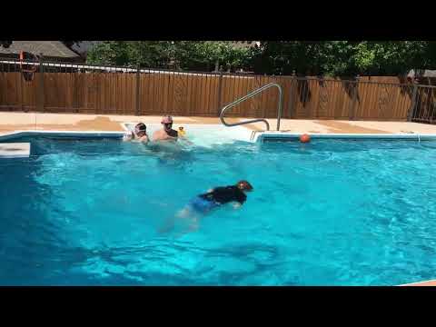 2017 05 14 Jackinpool