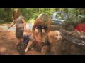dog wheelchairs