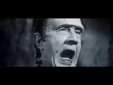 The Stems 'She's A Monster'